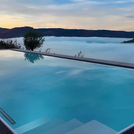 Orange Tree * 贝恩卡斯特尔-屈斯